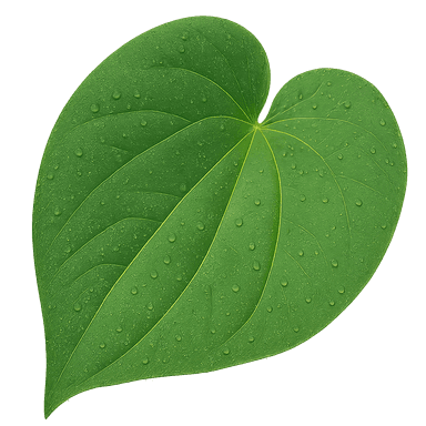 Kava Leaf